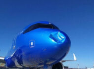 ITA AIRWAYS UÇAĞINA KUŞ ÇARPTI!