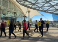 KABİN MEMURLARI GREVE ‘EVET’ DEDİ