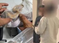 PİTONLARLA UÇAĞA BİNMEYE ÇALIŞTI