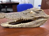 YOLCUNUN VALÎZĪNDEN ÇIKTI