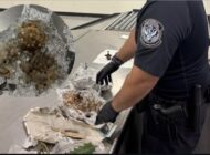 ÇANTADAN ÇIKANLAR HERKESİ ŞOKE ETTİ