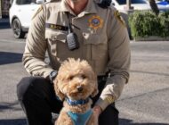 KURTARAN POLİS MEMURU ONU SAHİPLENDİ