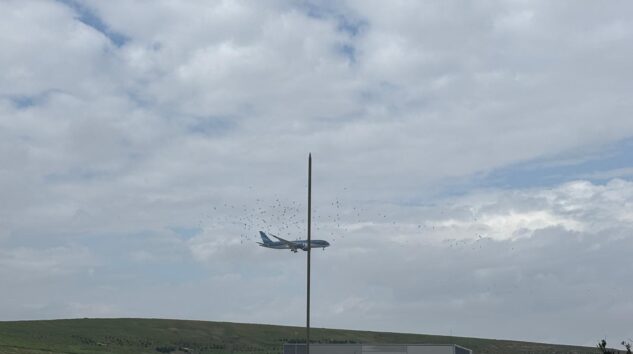 LEYLEKLERİN GÖÇÜ BAŞLADI