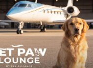 ABD’DE KÖPEKLERE ÖZEL TERMİNAL