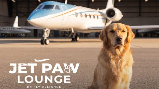 ABD’DE KÖPEKLERE ÖZEL TERMİNAL