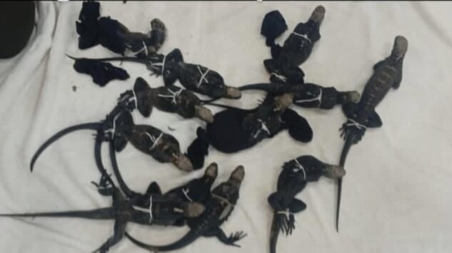 YOLCULARIN VALİZDEN ÇIKTI