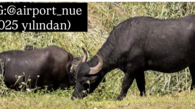 MANDALAR NÜRNBERG HAVALİMANI’NDA İŞE BAŞLADI