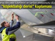 ‘KÖPEKBALIĞI DERİSİ’ KAPLAMAK İÇİN SERTİFİKA ALACAK