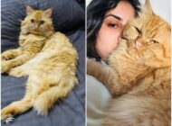 10 GÜN SONRA HAVALİMANINDA BULUNDU: KEDİSİNE KAVUŞMAYI BEKLİYOR