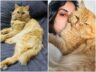 10 GÜN SONRA HAVALİMANINDA BULUNDU: KEDİSİNE KAVUŞMAYI BEKLİYOR